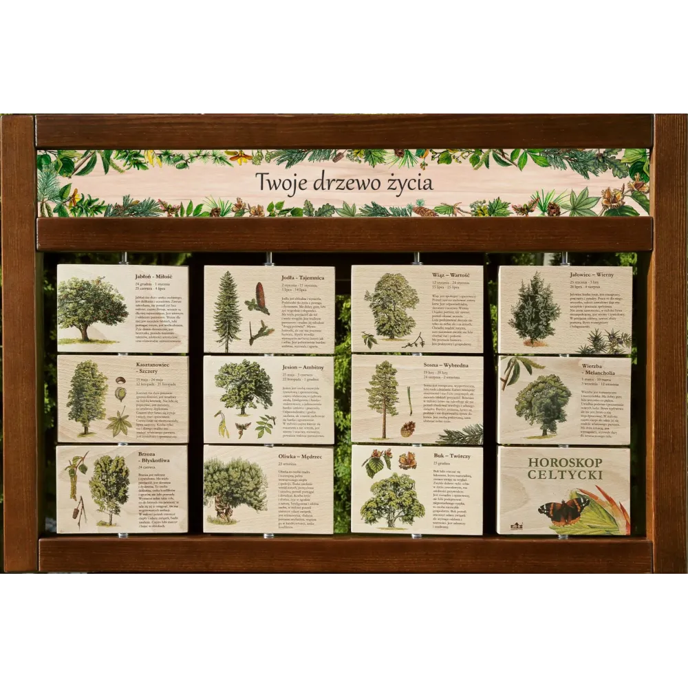 Zestaw interaktywny WEWNĘTRZNY - TWOJE DRZEWO ŻYCIA