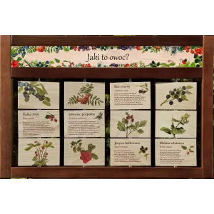 Zestaw interaktywny WEWNĘTRZNY - JAKI TO OWOC?