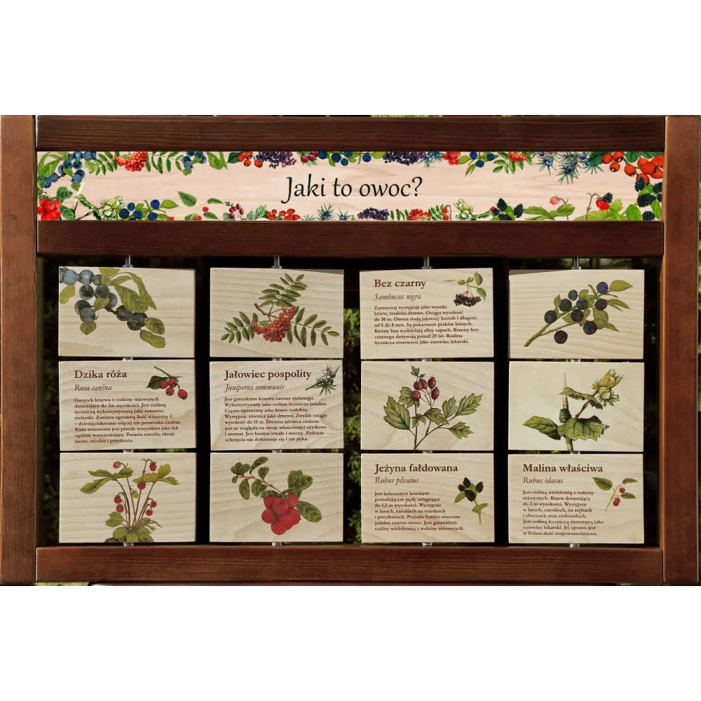 Zestaw interaktywny WEWNĘTRZNY - JAKI TO OWOC?