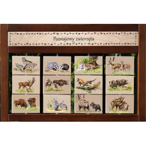 Zestaw interaktywny WEWNĘTRZNY - RODZINY ZWIERZĄT