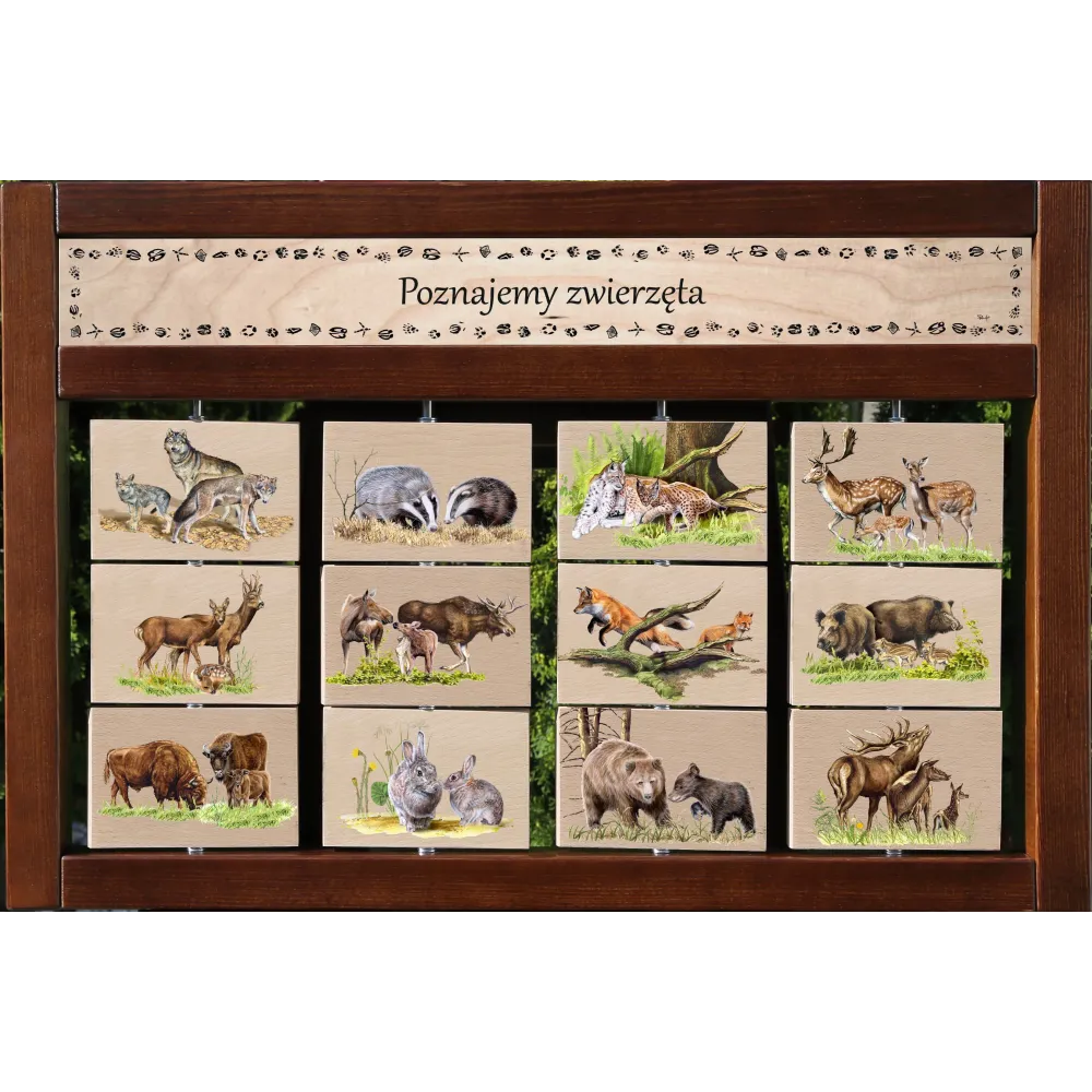 Zestaw interaktywny WEWNĘTRZNY - RODZINY ZWIERZĄT