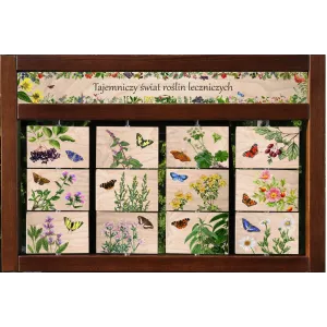Zestaw interaktywny WEWNĘTRZNY - ROŚLINY LECZNICZE