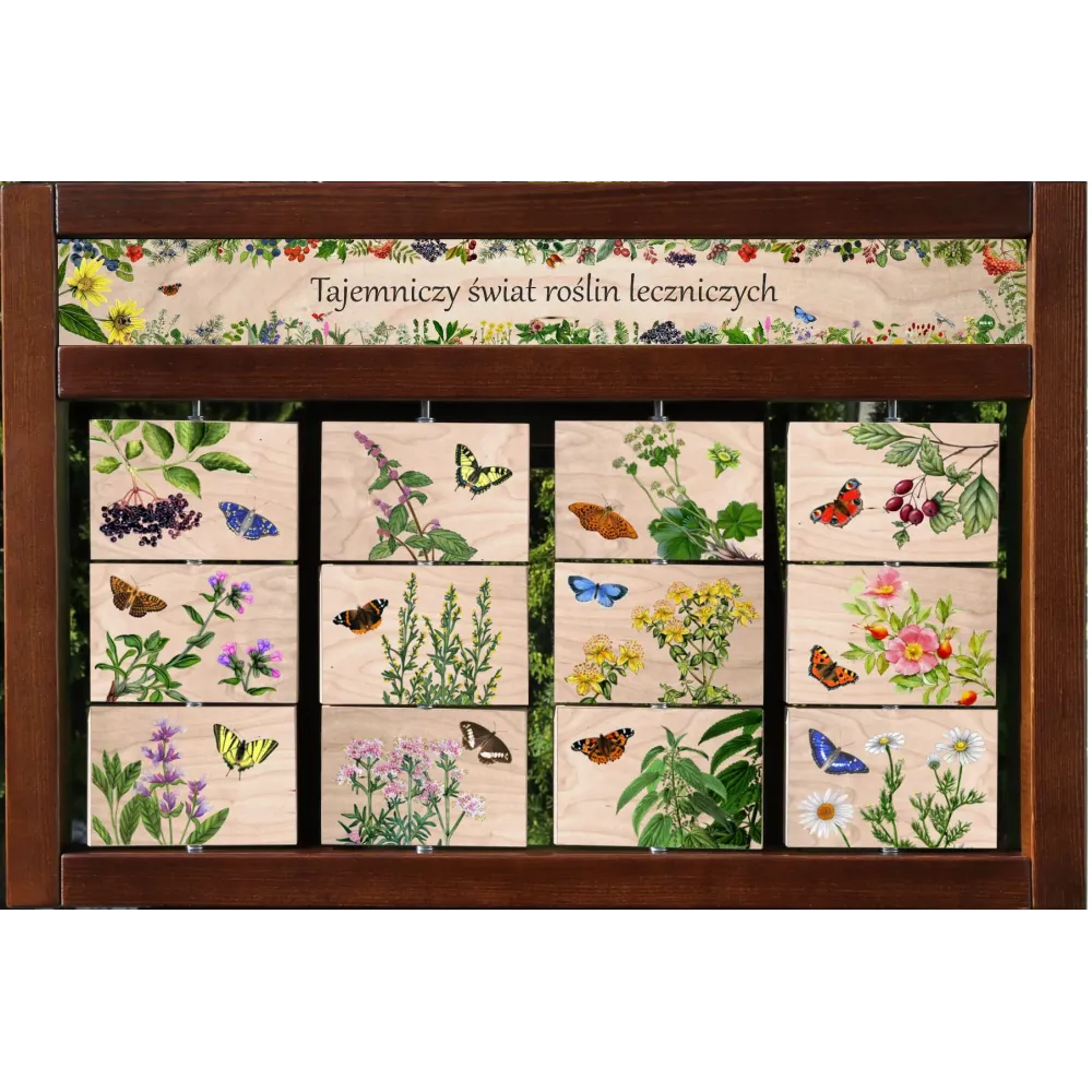 Zestaw interaktywny WEWNĘTRZNY - ROŚLINY LECZNICZE