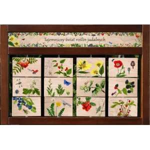 Zestaw interaktywny WEWNĘTRZNY - ROŚLINY JADALNE