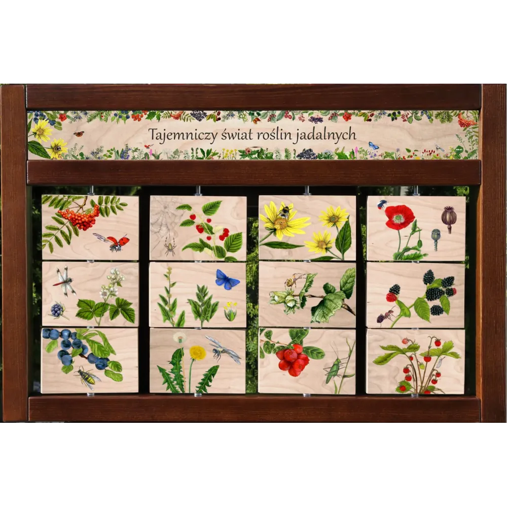 Zestaw interaktywny WEWNĘTRZNY - ROŚLINY JADALNE