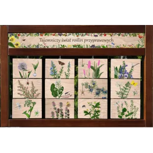 Zestaw interaktywny WEWNĘTRZNY - TAJEMNICZY ŚWIAT ROŚLIN PRZYPRAWOWYCH