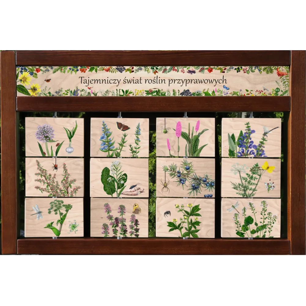 Zestaw interaktywny WEWNĘTRZNY - TAJEMNICZY ŚWIAT ROŚLIN PRZYPRAWOWYCH