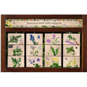 Zestaw interaktywny WEWNĘTRZNY - ROŚLINY TRUJĄCE