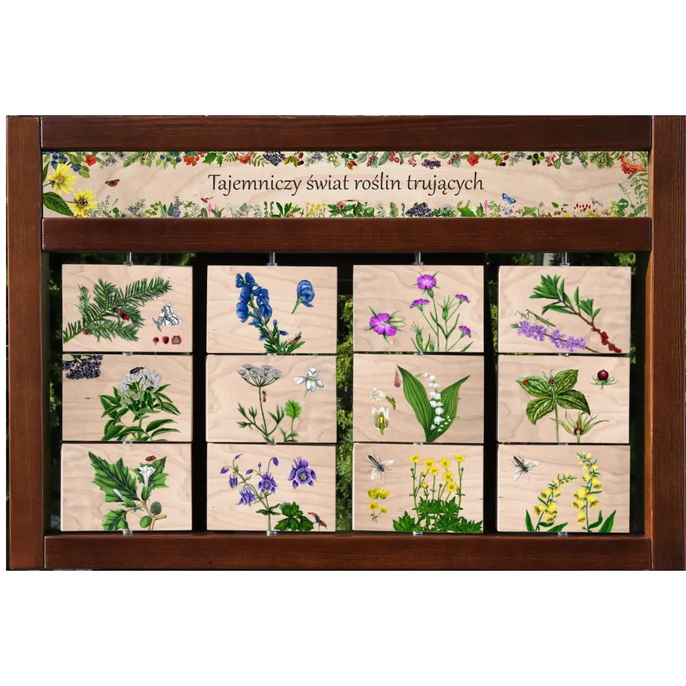 Zestaw interaktywny WEWNĘTRZNY - ROŚLINY TRUJĄCE
