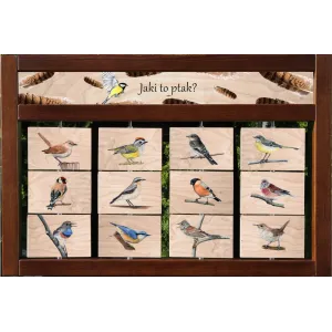 Zestaw interaktywny WEWNĘTRZNY - JAKI TO PTAK? (wersja trzecia)