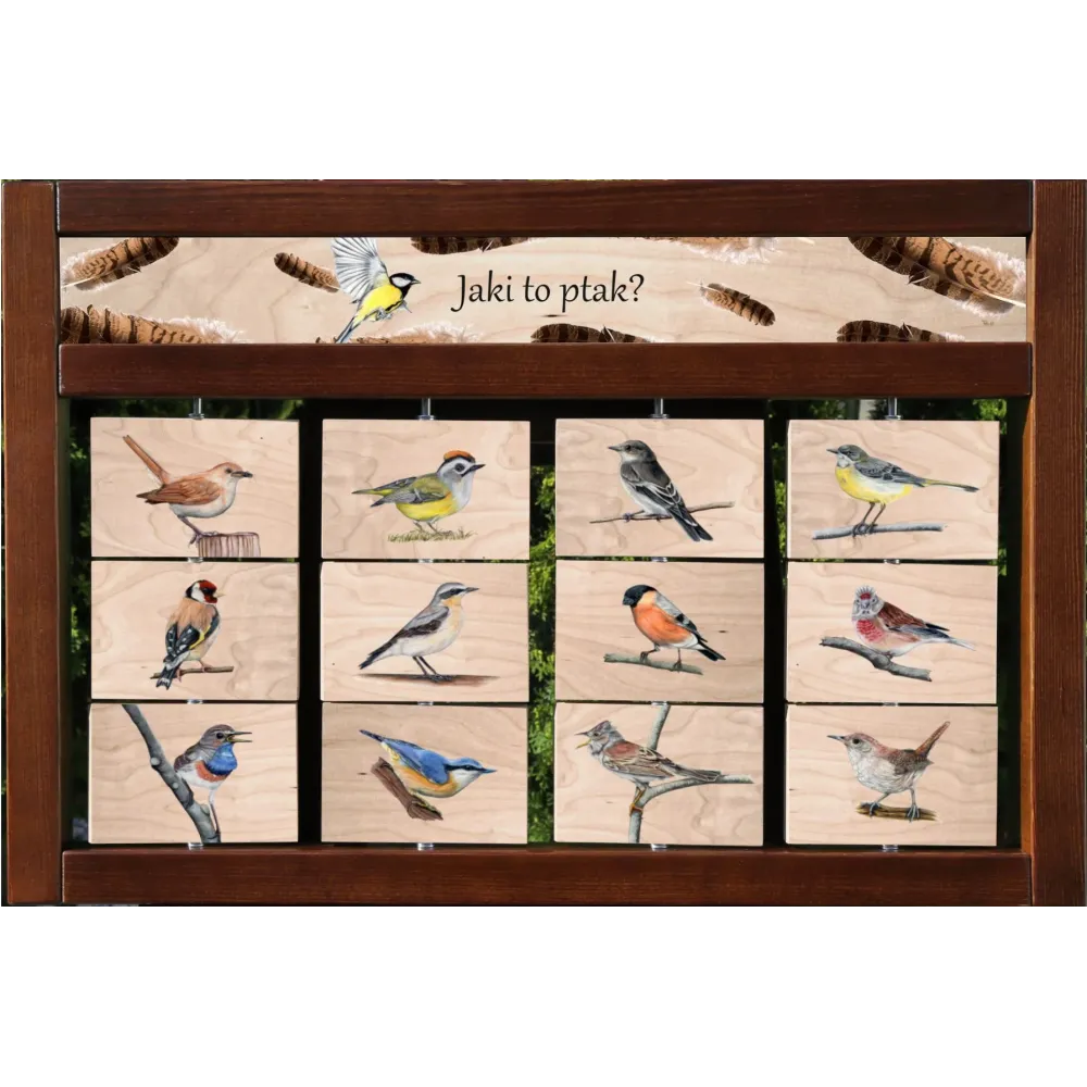 Zestaw interaktywny WEWNĘTRZNY - JAKI TO PTAK? (wersja trzecia)