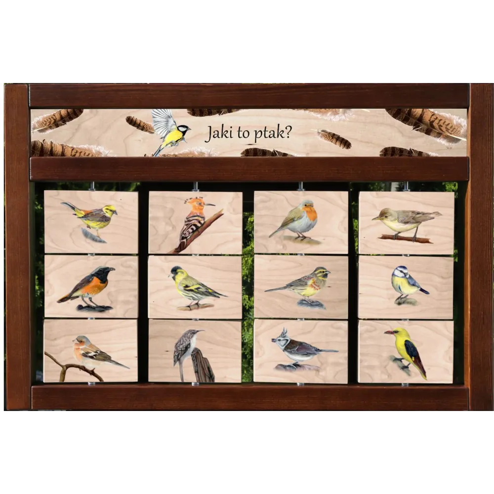 Zestaw interaktywny WEWNĘTRZNY - JAKI TO PTAK (wersja piąta)