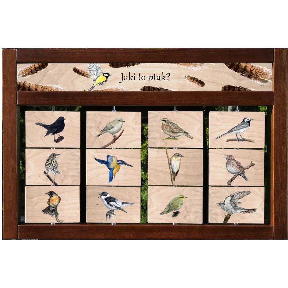 Zestaw interaktywny WEWNĘTRZNY - JAKI TO PTAK? (wersja szósta)