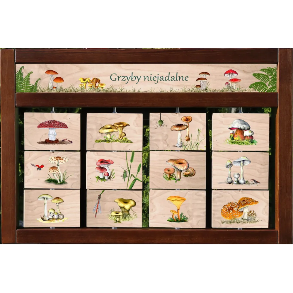 Zestaw interaktywny WEWNĘTRZNY - GRZYBY NIEJADALNE