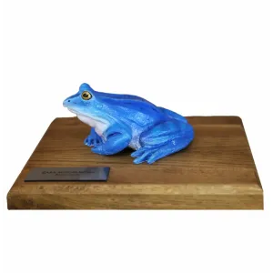 Żaby przestrzenne - ŻABA MOCZAROWA