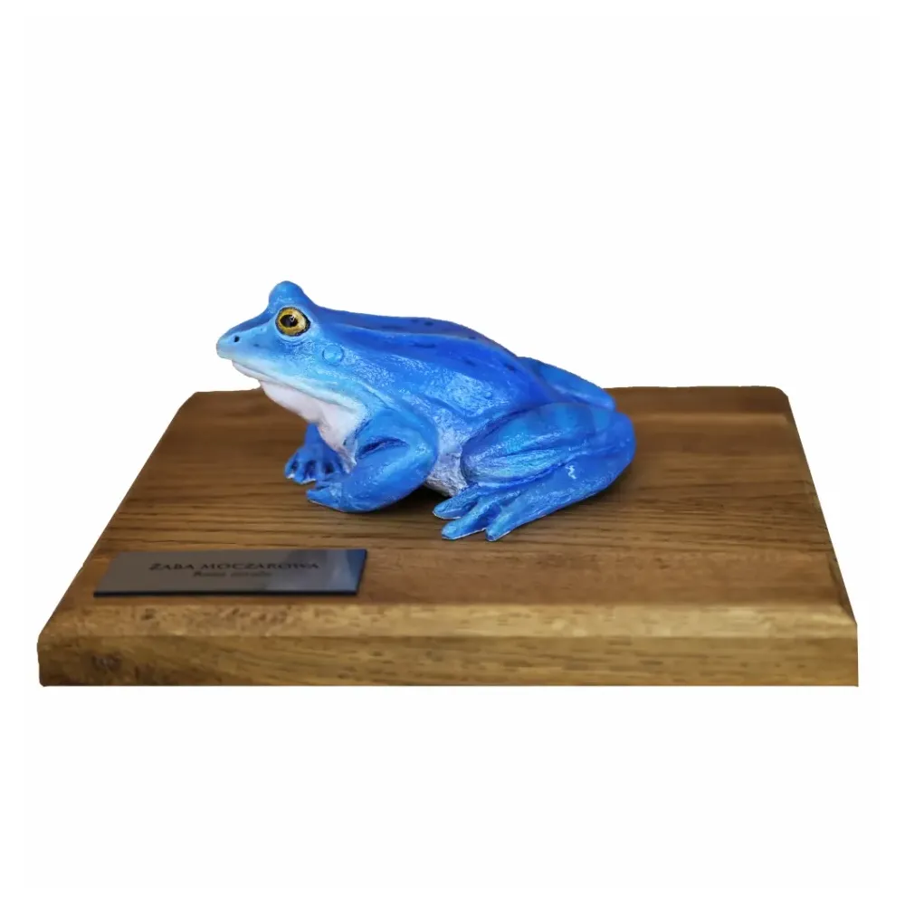 Żaby przestrzenne - ŻABA MOCZAROWA