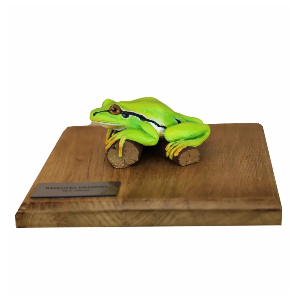 Żaby przestrzenne - RZEKOTKA DRZEWNA