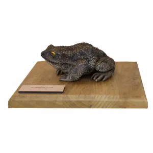 Żaby przestrzenne - ROPUCHA SZARA