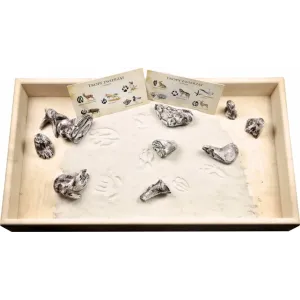 Kuweta do zestawu tropów zwierząt