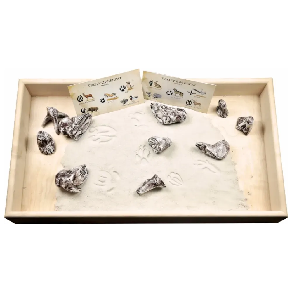 Kuweta do zestawu tropów zwierząt