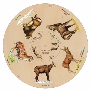 Dopasuj na kole POROŻE