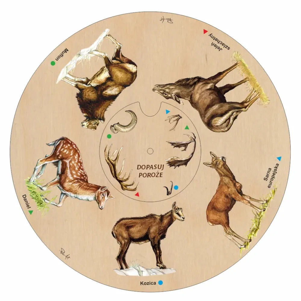 Dopasuj na kole POROŻE