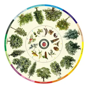 Dopasuj na kole PCV- OWOC