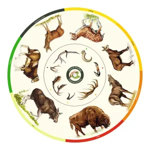 Dopasuj na kole PCV - POROŻE