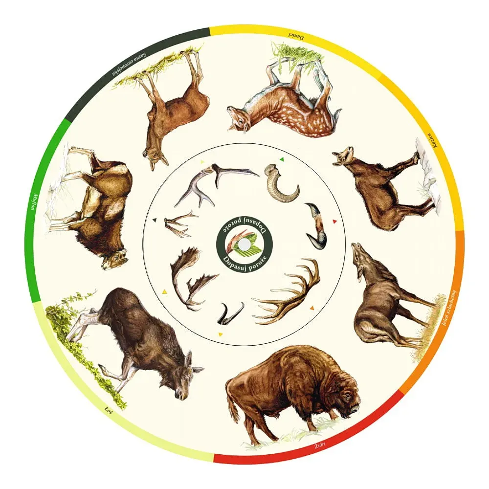 Dopasuj na kole PCV - POROŻE