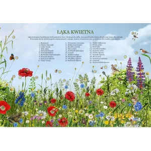 Mega puzzle ŁĄKA KWIETNA