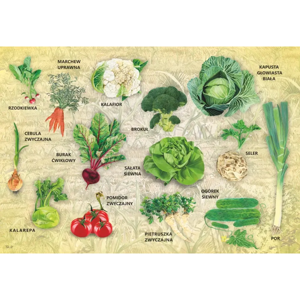 Mega puzzle WARZYWA