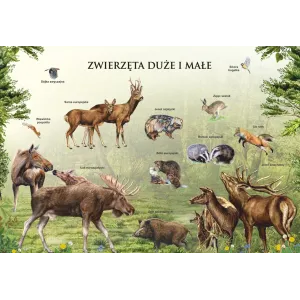 Mega puzzle ZWIERZĘTA MAŁE I DUŻE