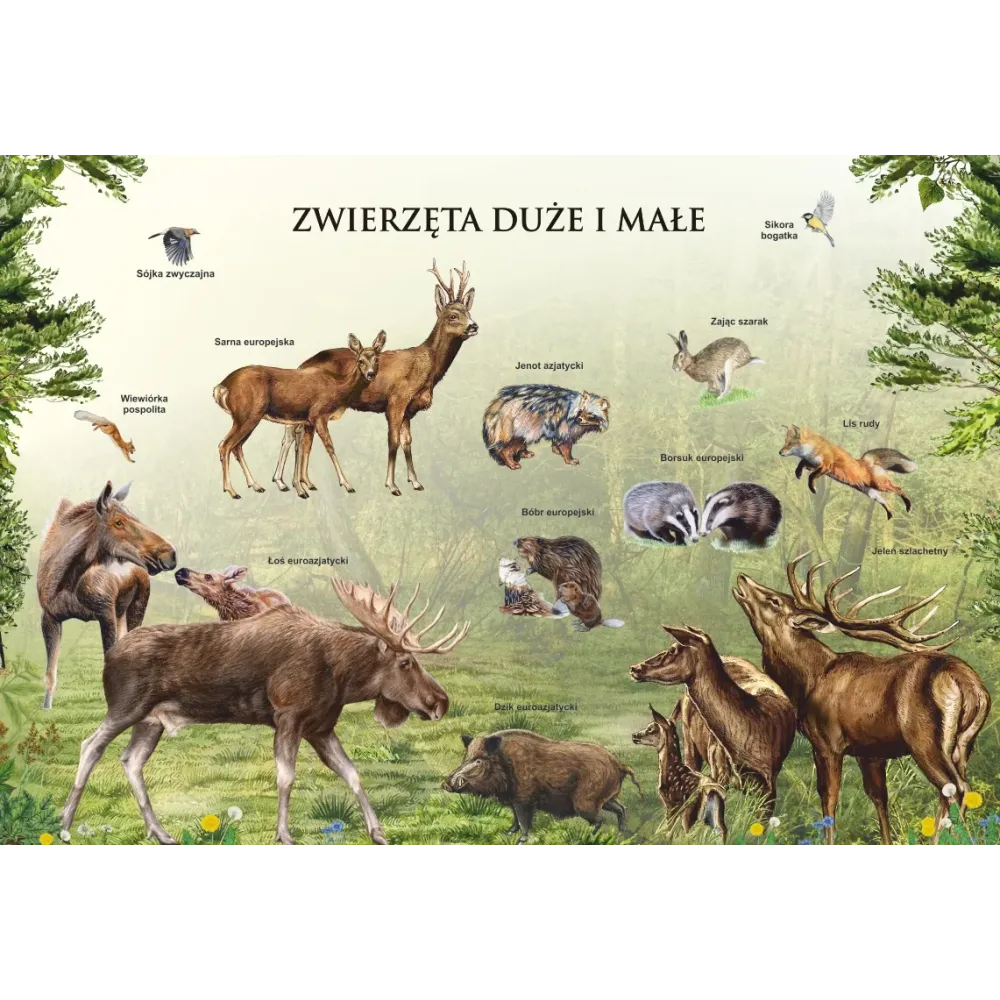 Mega puzzle ZWIERZĘTA MAŁE I DUŻE