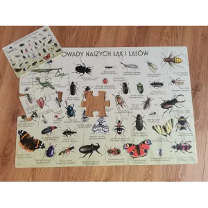 Mega puzzle owady