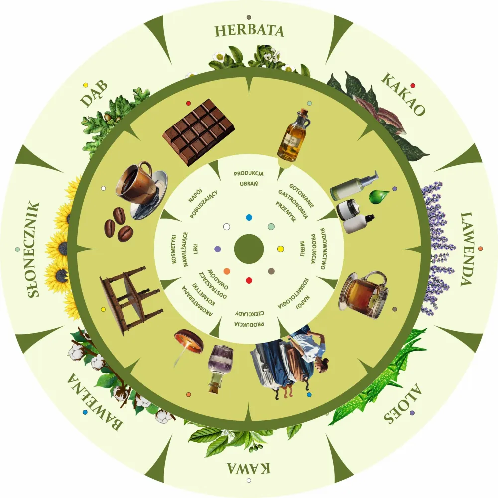 Dopasuj na kole ZASTOSOWANIE ROŚLIN