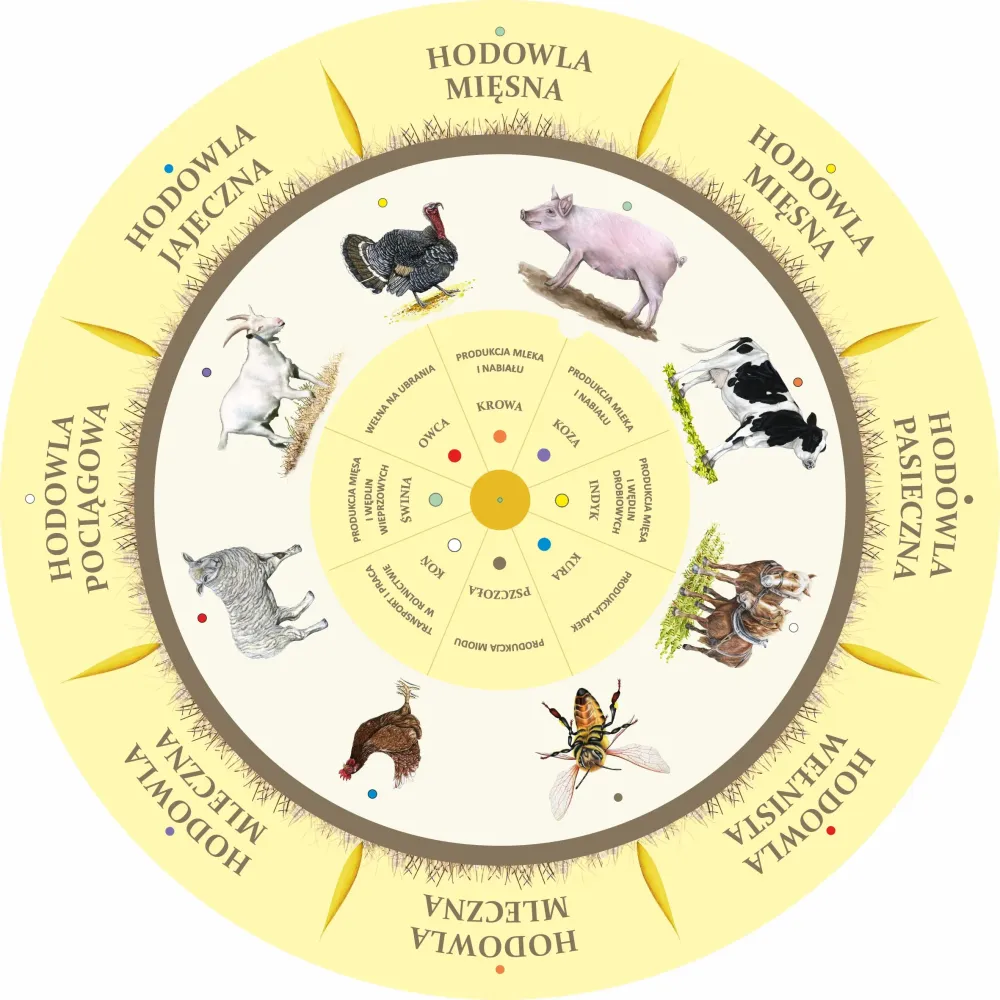 Dopasuj na kole ZWIERZĘTA HODOWLANE