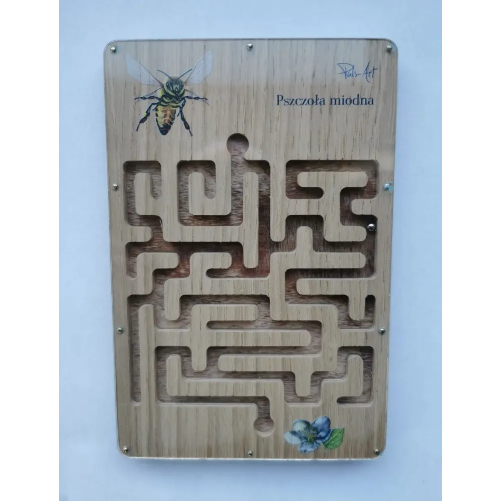 Labirynt przyrodniczy PSZCZOŁA MIODNA