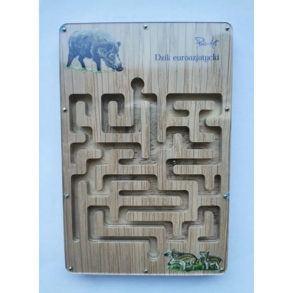 Labirynt przyrodniczy - DZIK EUROAZJATYCKI