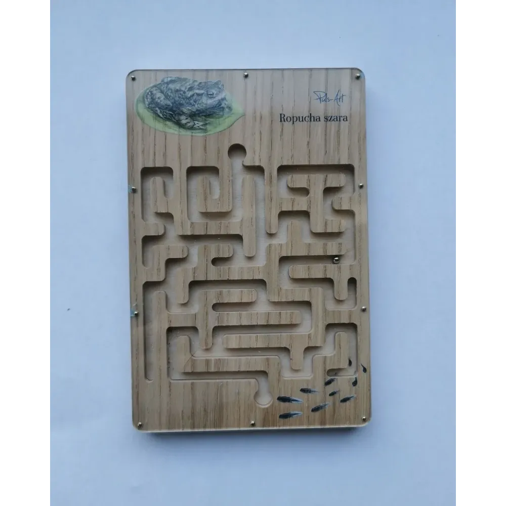 Labirynt przyrodniczy ROPUCHA SZARA