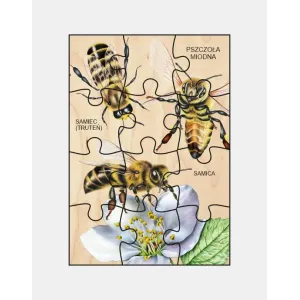 Puzzle drewniane PSZCZOŁA MIODNA