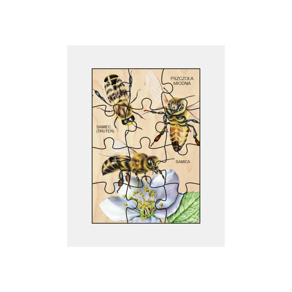 Puzzle drewniane PSZCZOŁA MIODNA