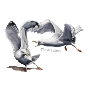 Stopki damskie czarne z motywem ptaków morskich