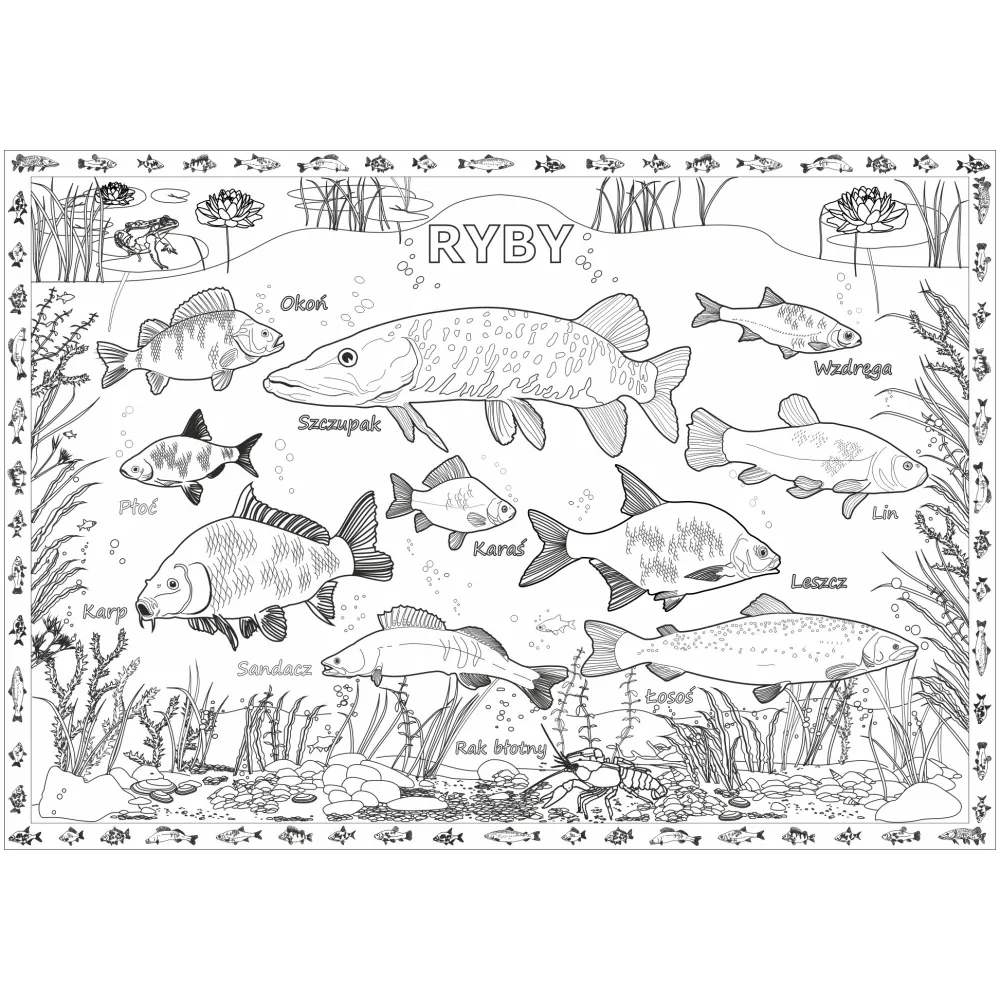 KOLOROWANKA PODŁOGOWA XXL RYBY