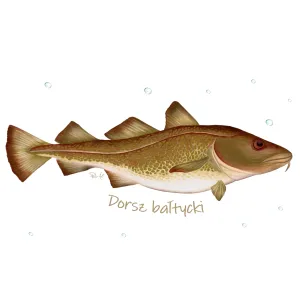 Skarpety damskie białe - RYBY MORSKIE | Najwyższa jakość i st