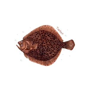 Skarpety męskie czarne z motywem ryb morskich