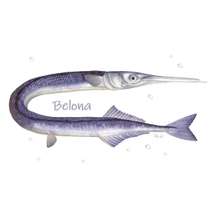 Skarpety męskie czarne z motywem ryb morskich