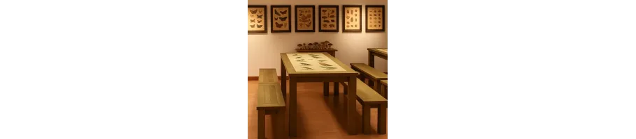 Dębowe meble edukacyjne