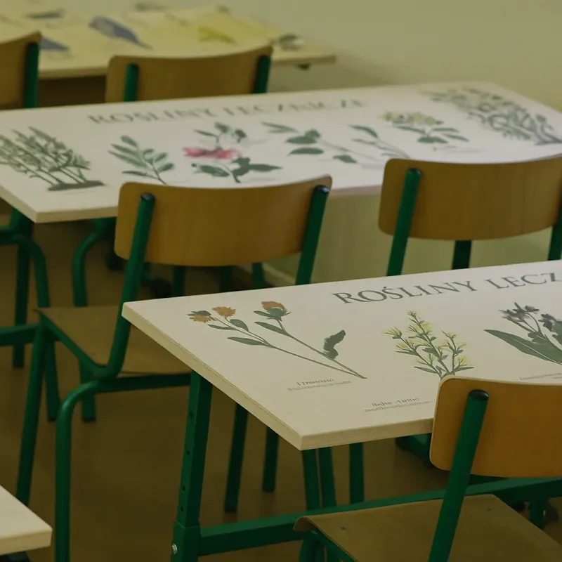 Ekologiczne Blaty Szkolne - Dla Kreatywnej Nauki