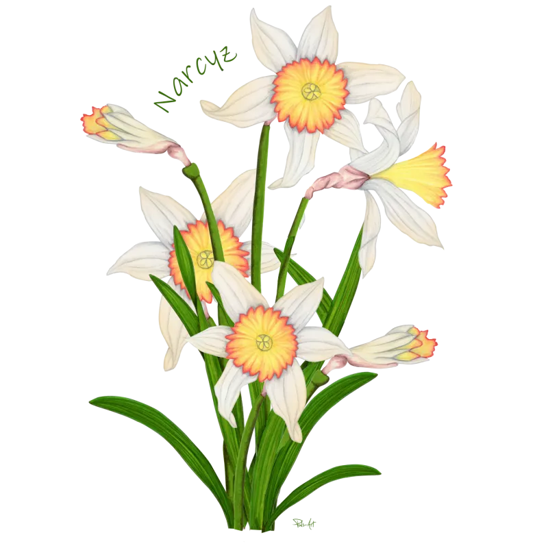 Tekstylia - KWIATY: Wyjątkowe wzory, które ożywią Twoje wnęt