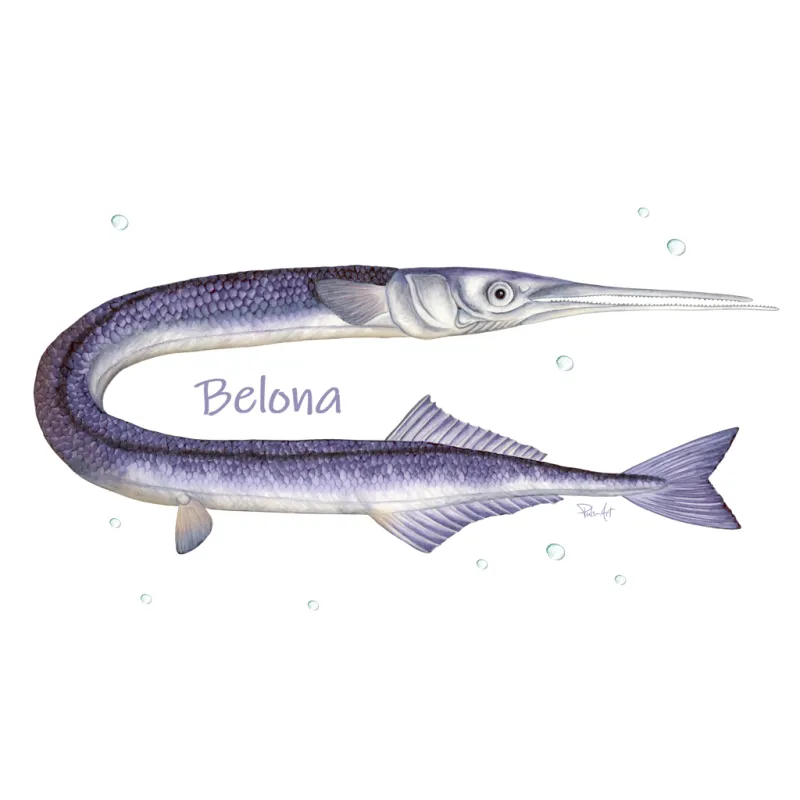 Koszulki z motywem ryb morskich - Wyjątkowy design dla miłośni